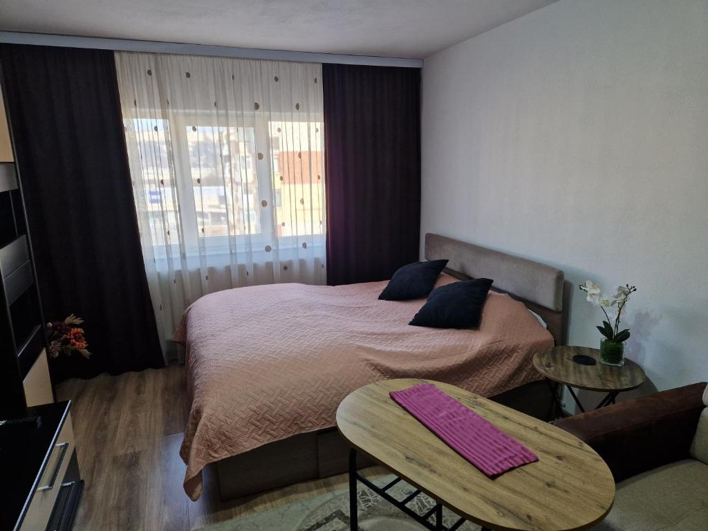 Apartament 2 camere Campulung Muscel