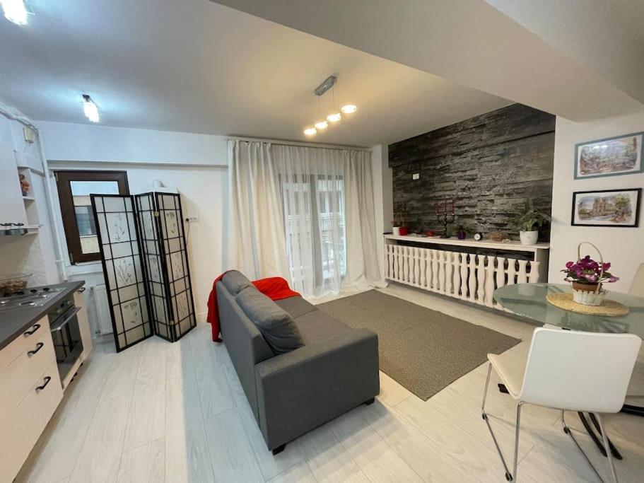 Apartament 2 camere Mogoșoaia