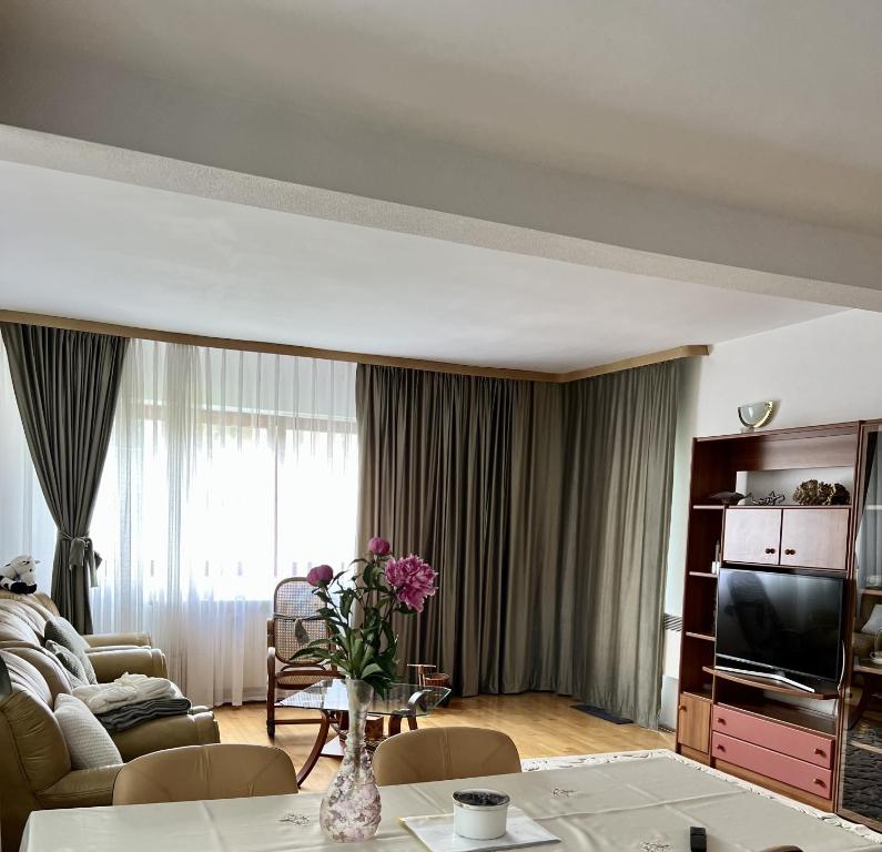 Apartament Confort - Baile Olanesti
