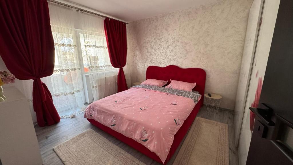 Apartament cozy