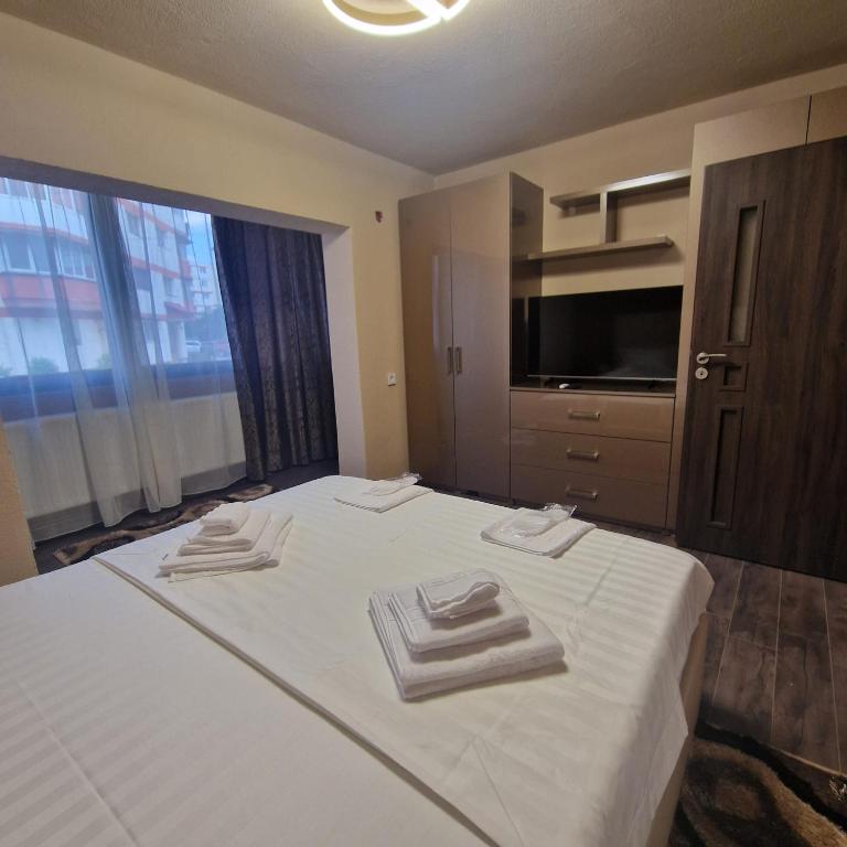 Apartament Iulius 3 Manastire