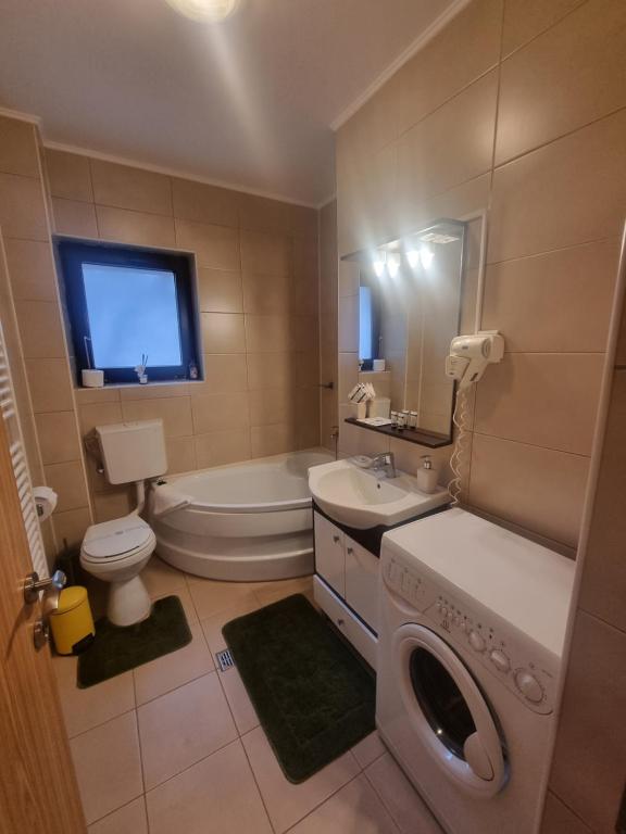 Apartament Kalinderu K3 Busteni