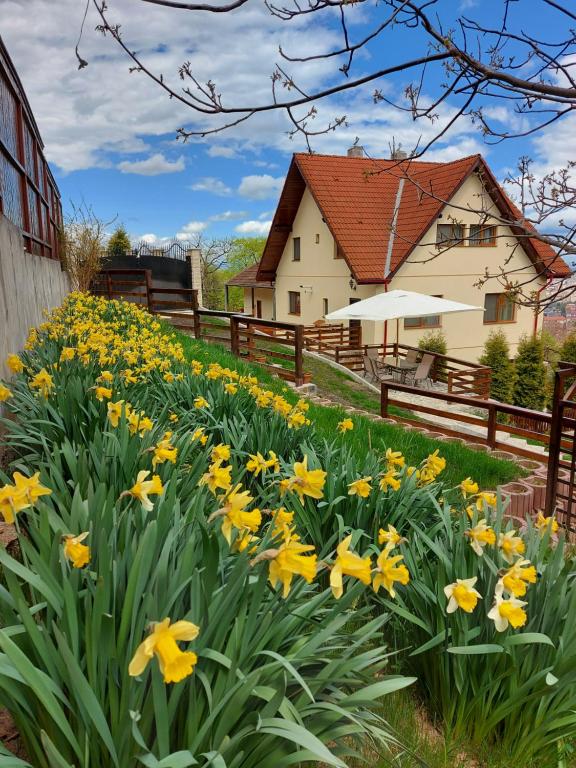 Apartament Matei