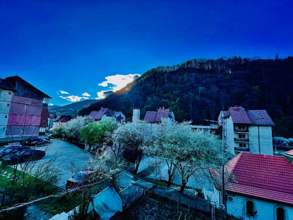 Apartament ASK HOME