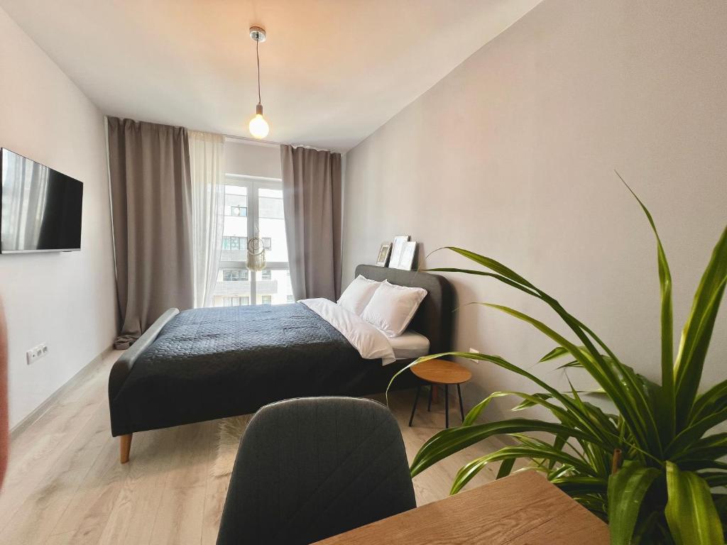 Blue Boho Studios and Apartments Brasov