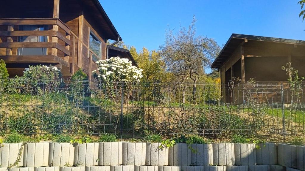 Bungalouri Olanesti