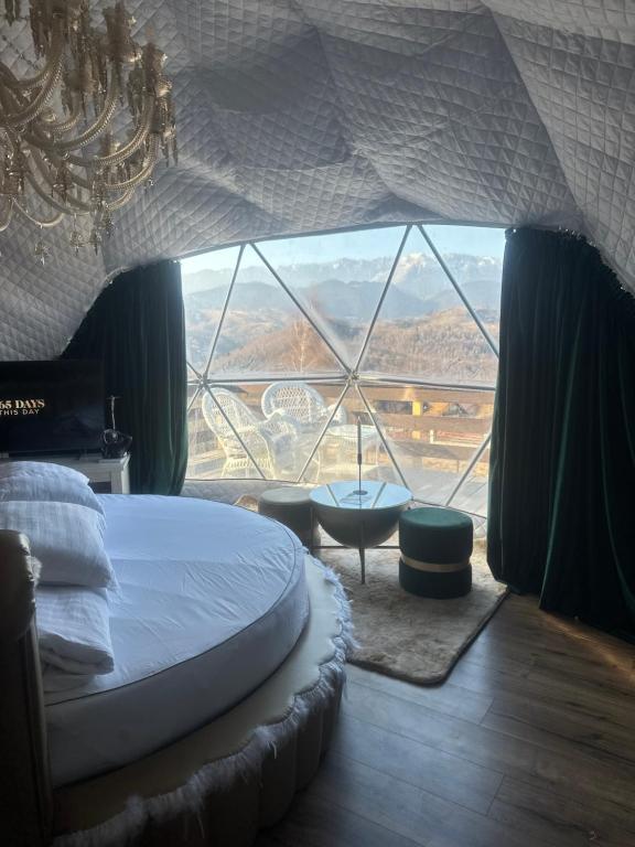 CABANA 365