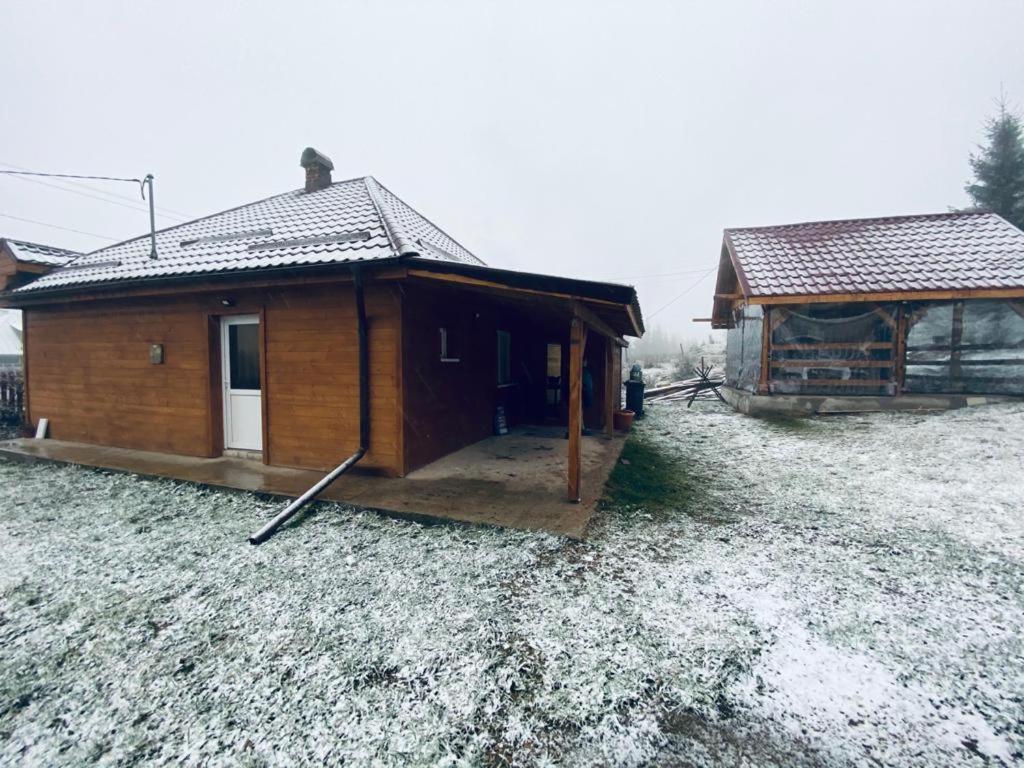 Cabana Beliș