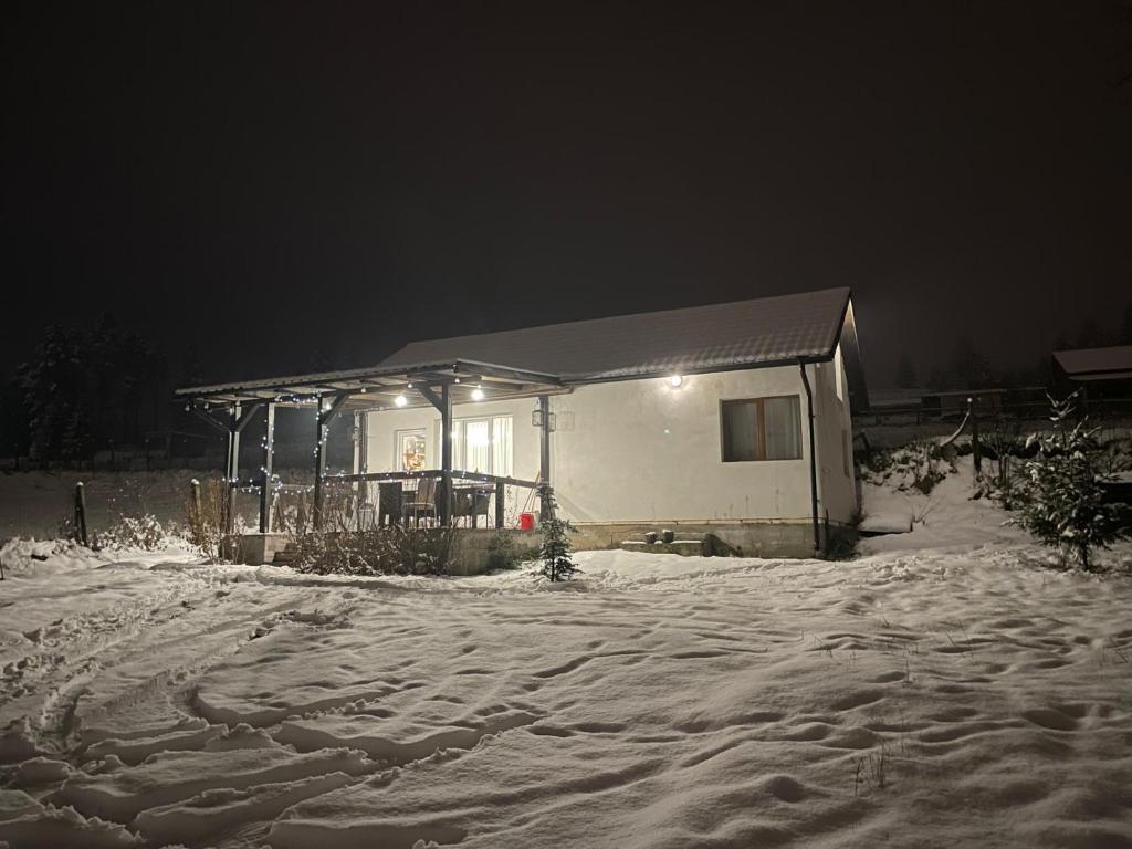 Cabana la Munte