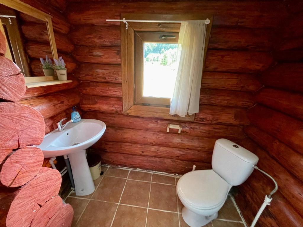 Cabana Ursu’ Zburator
