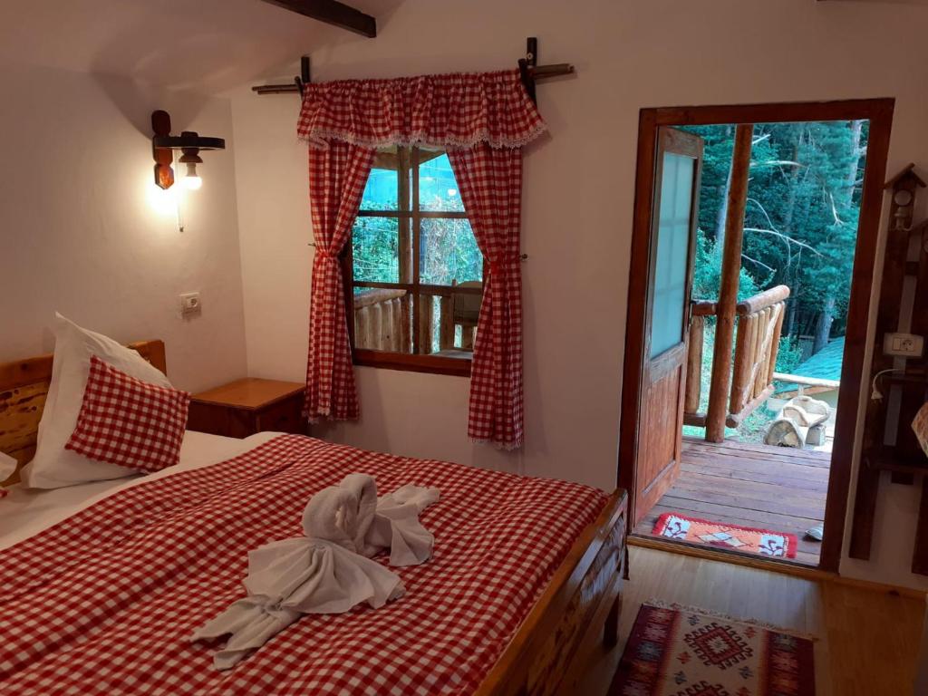 CABANUTE si CAMPING DRACULA