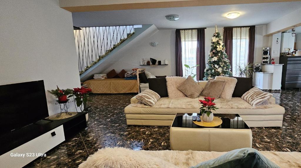 Casa Aly Bușteni- Vila la cheie