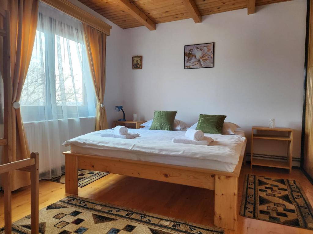 Casa Amalia Tocile -Sadu