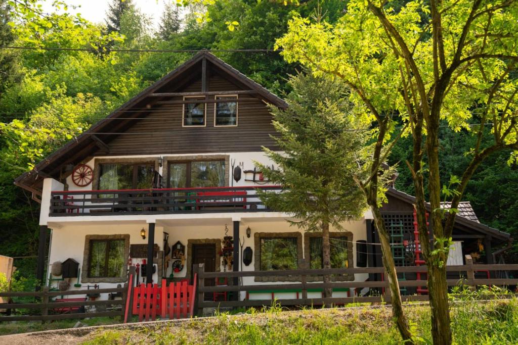 Casa cu Amintiri - Authentic Cozy Cottage