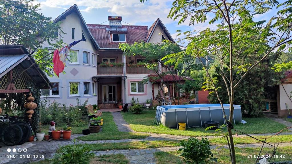 Casa cu Mesteceni Calimanesti