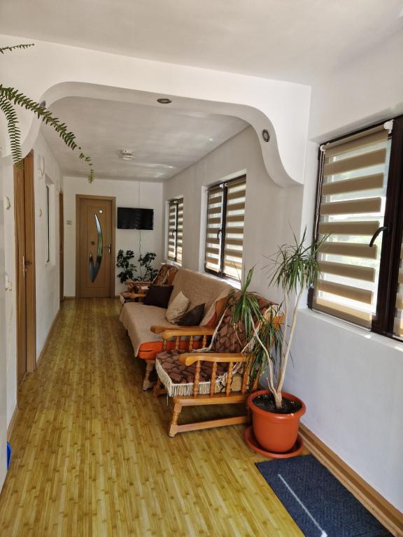 Casa Elena