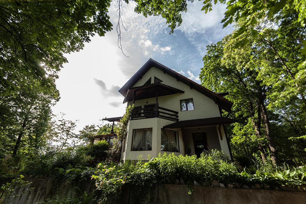 Casa Mariei - Vila Breaza