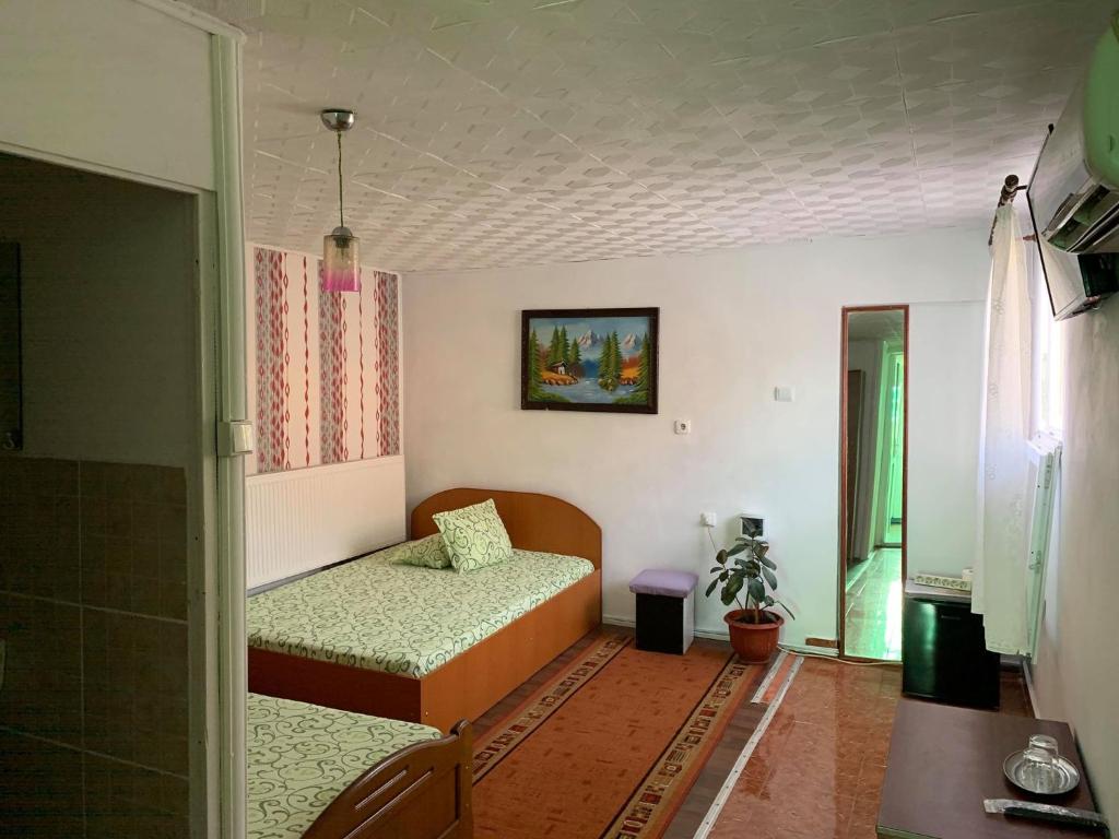 Casa Pitaru