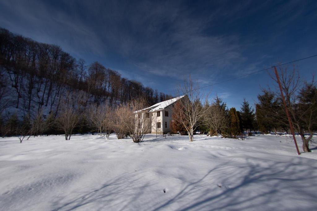 Casa Stirbei