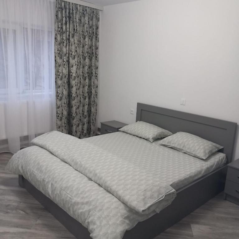 Apartament Rm Valcea