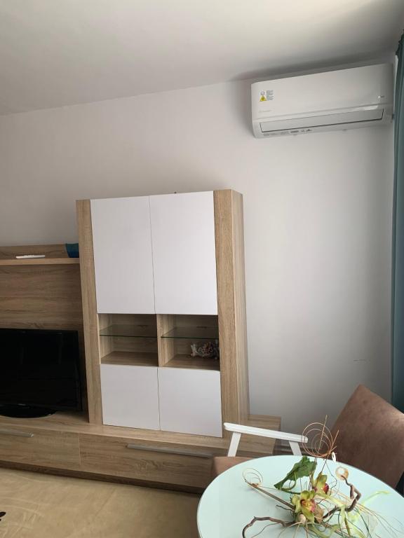 Cazare Medias, apartament modern