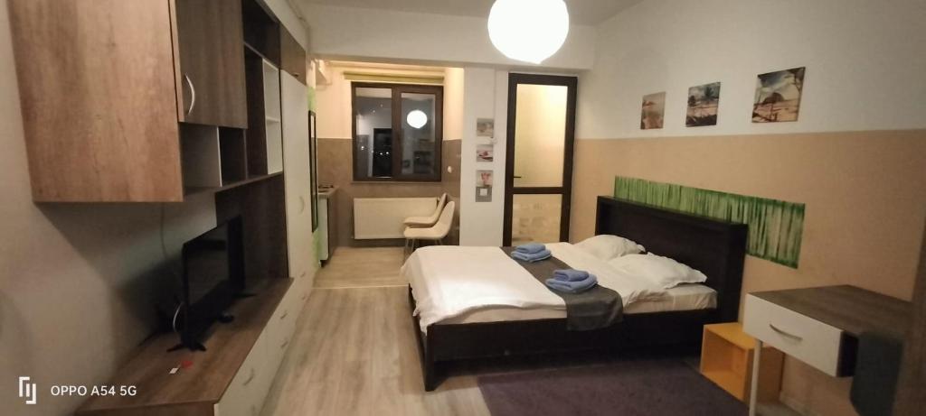 Central Flat 109