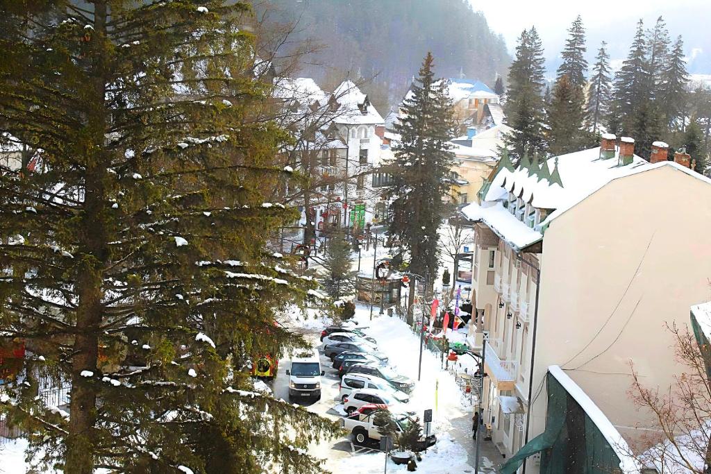 Central Park View Sinaia