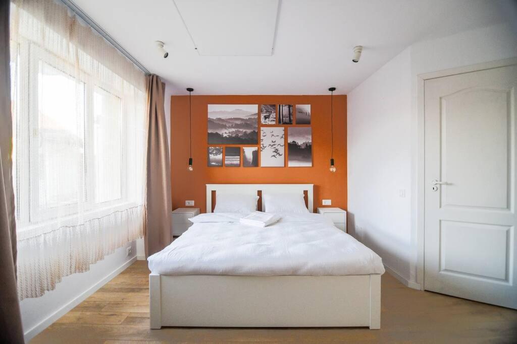 Chic Mountain Studio
