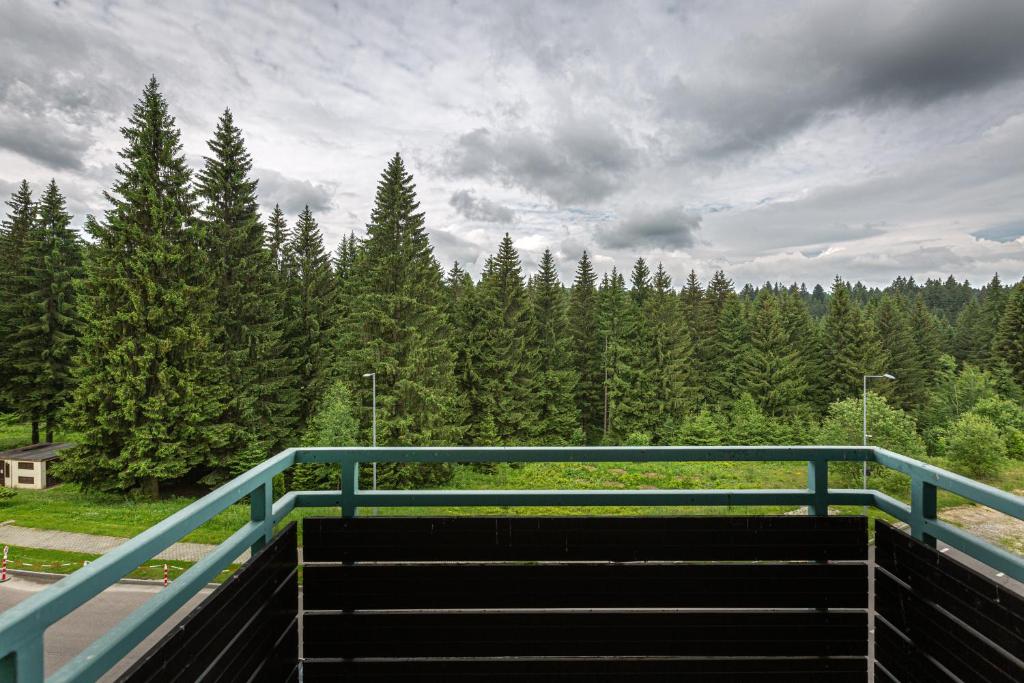 Cold Mountain Apartment in Silver Mountain Resort