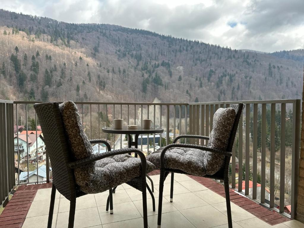 COLETTE Studio BelleView