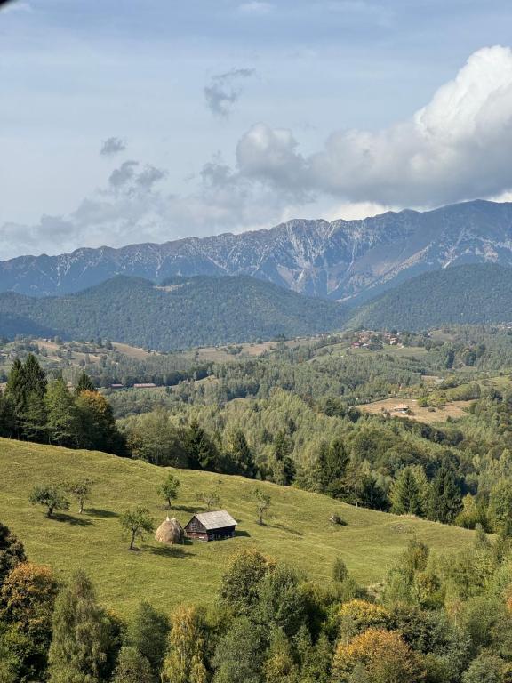 Colț de RAI A-Frame