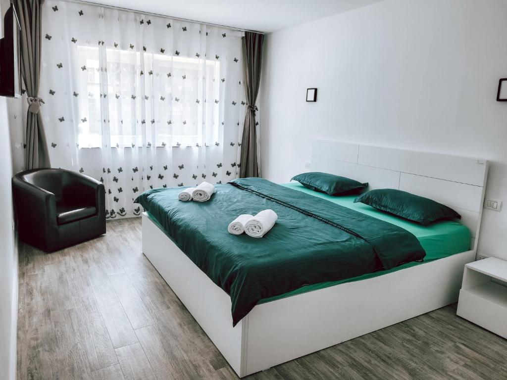 Cosy apartment Fagaras