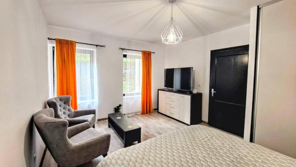 Cosy studio in the heart of Brasov