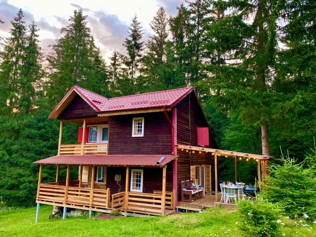 Cosy wooden house in the heart of Apuseni.