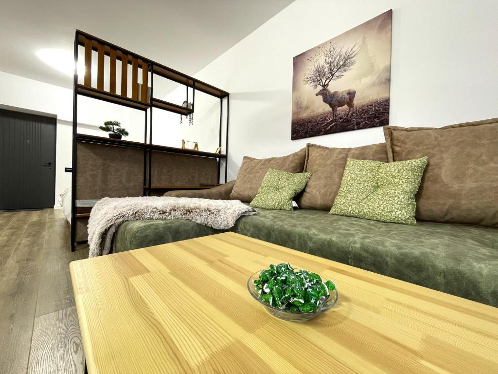Cozy Bliss Studio in Sinaia w. Free parking