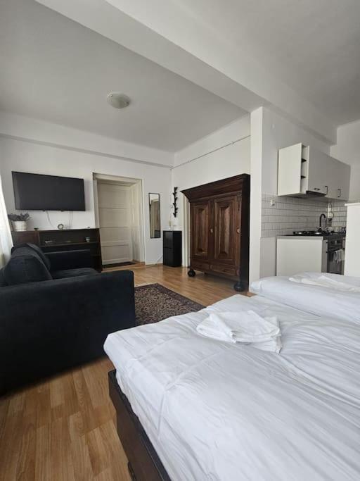 Cozy studio Hermannstadt
