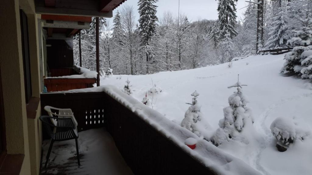 Fairytale apartment close to Bradu Ski Slope