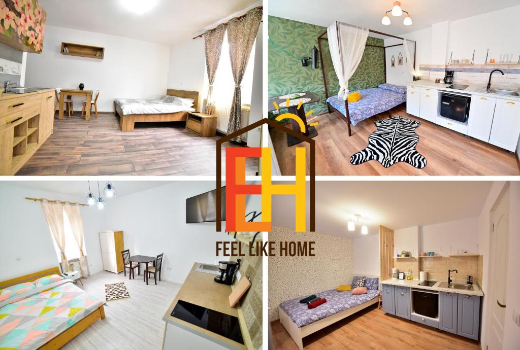 FLH - Central Apartments