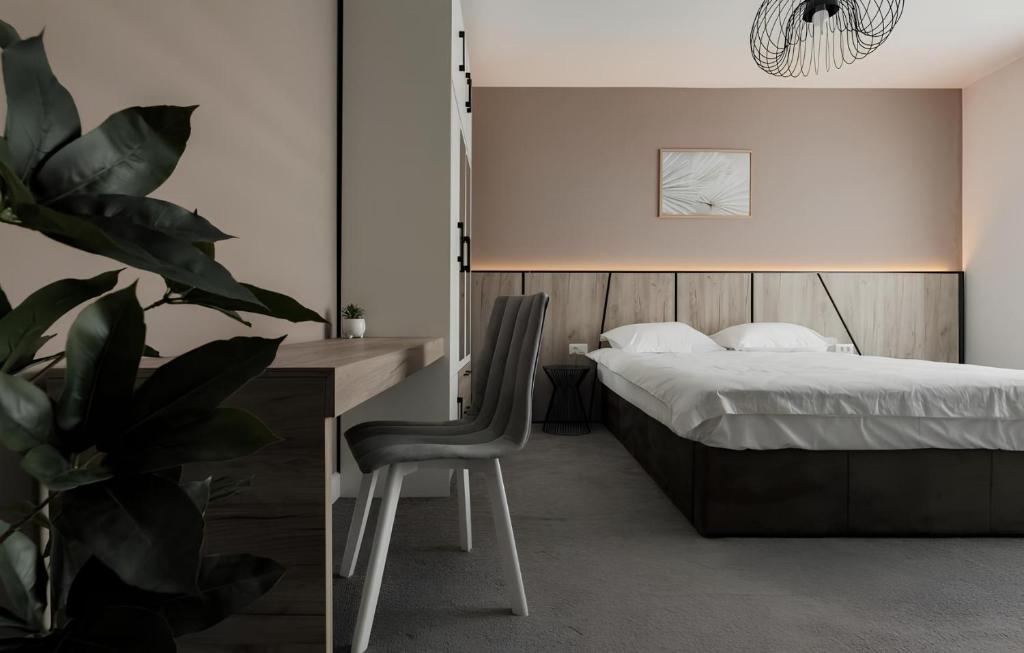 GAVAS Cozy Studios Central David Prodan