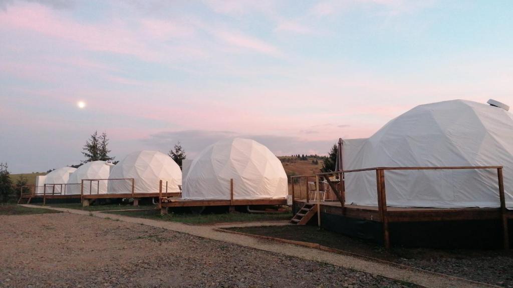 Glamping 4 us