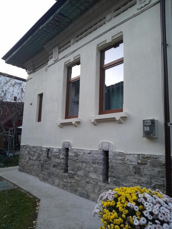 Green Studio