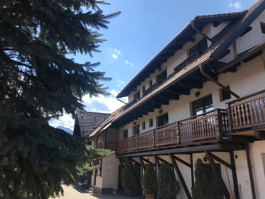 Pensiunea Haiduc Sacele Brasov