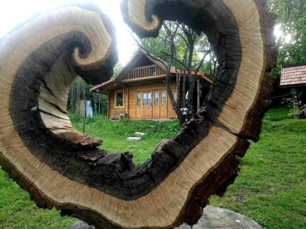 Hidden Garden Kide (Chidea)
