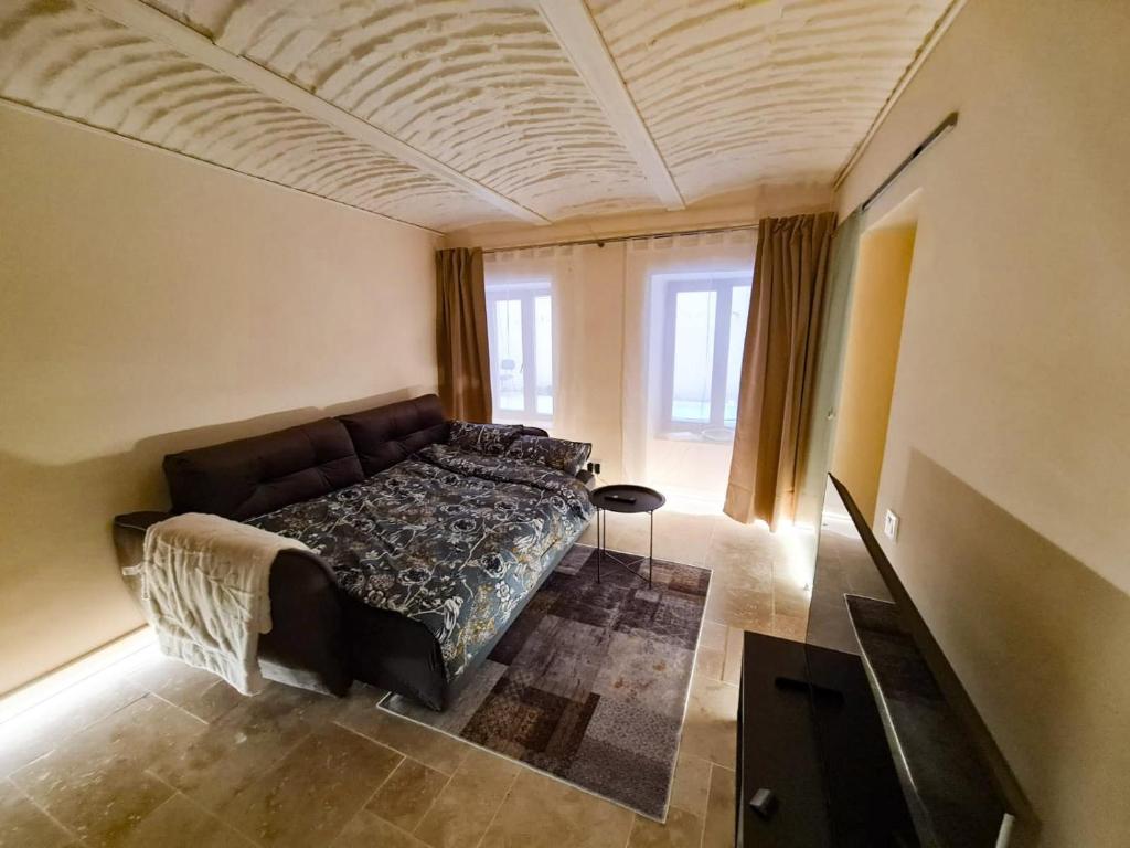 Historical ultracentral apartment