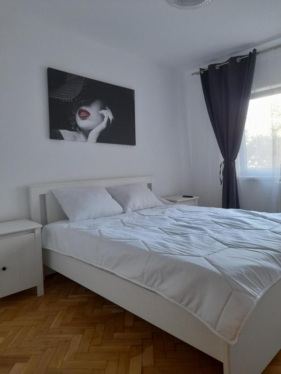 Inchiriez apartament in regim hotelier cu 2 camere