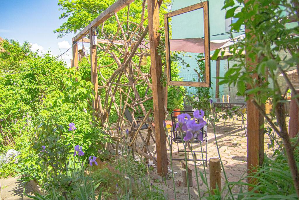 Lupeni Alley cozy central apartment&private garden