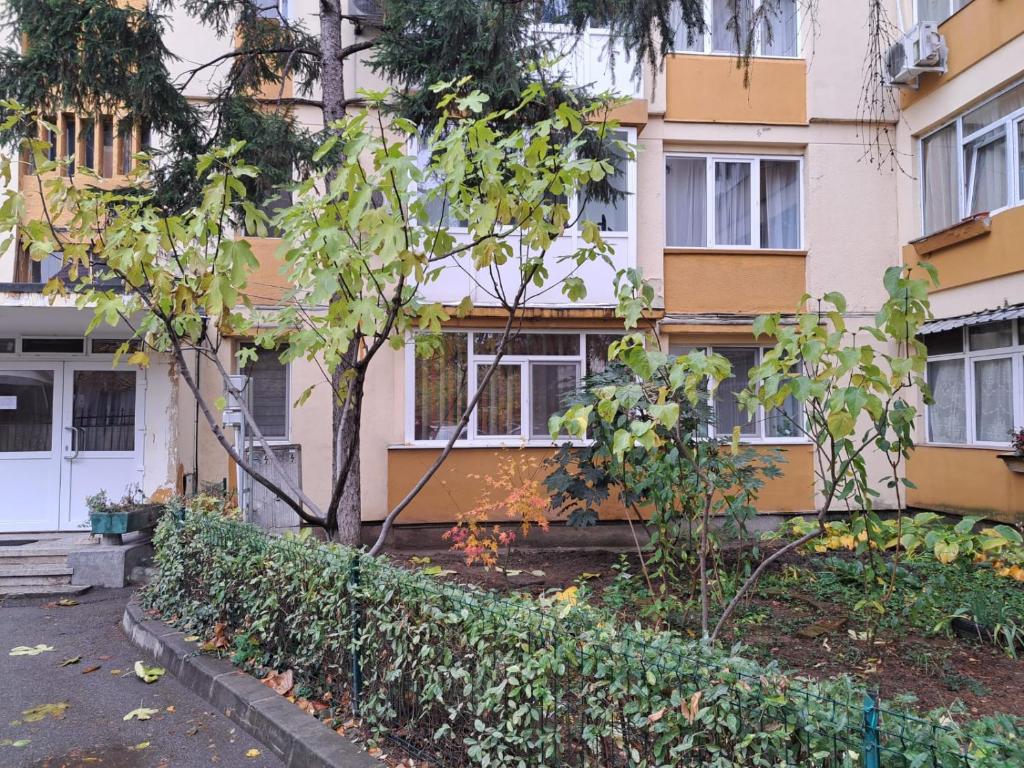 Mia Apartments