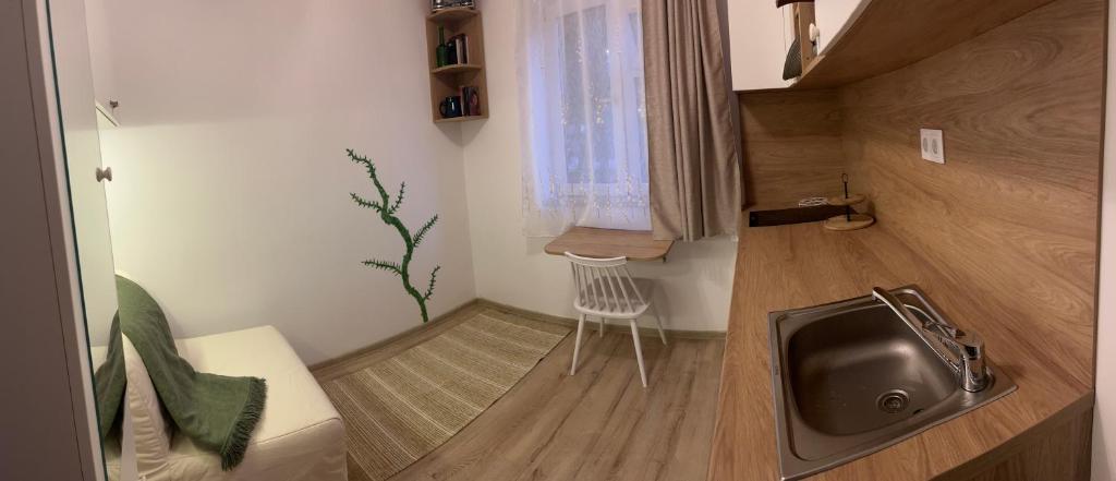 Mimosa Studio