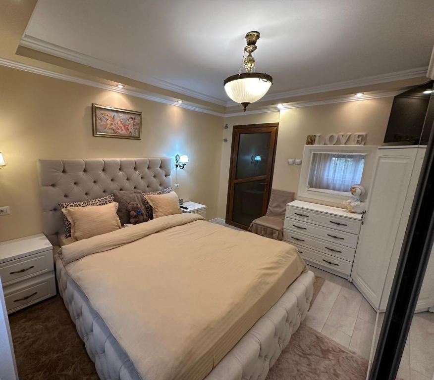 Arena Apartment