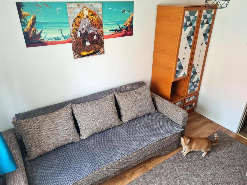 OG rooms